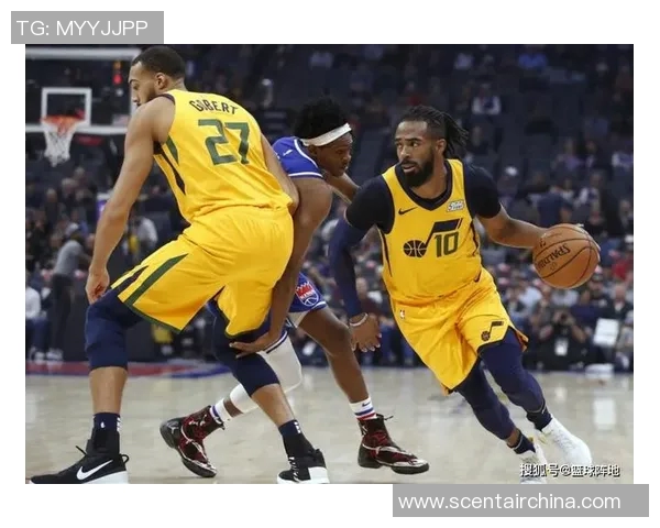 小牛队新赛季首发阵容揭晓，期待一场篮球盛宴