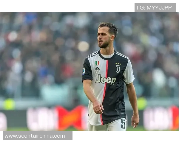 皮亚尼奇入选欧洲最佳阵容，成为意大利骄傲