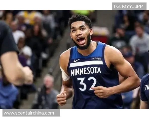 森林狼队新秀崭露头角，球队未来可期