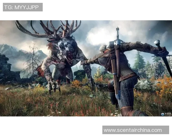 帕德博恩斯反弹，揭秘背后的魔法效应