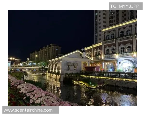 阿扎尔与家人在巴黎迎接圣诞节——一场充满温馨与浪漫的节日庆典