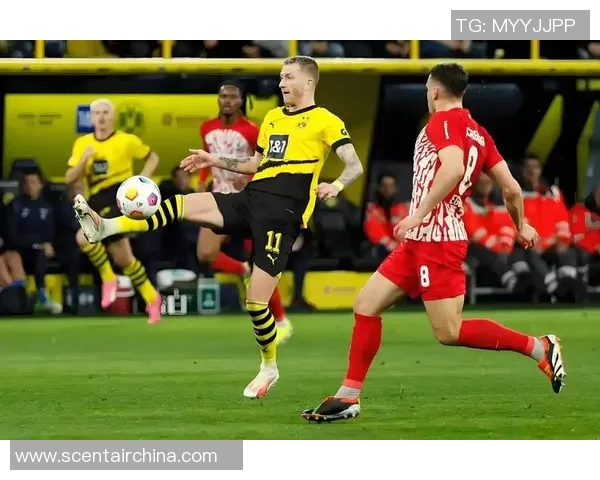 沃尔夫斯堡客场逼平多特,德甲冠军争夺进入白热化阶段 沃尔夫斯堡客场逼平多特,德甲冠军争夺进入白热化阶段