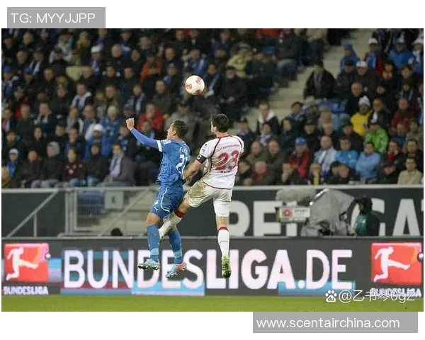 霍芬海姆德甲联赛亮点:全队表现出色,掀起胜利之风 霍芬海姆德甲联赛亮点:全队表现出色,掀起胜利之风