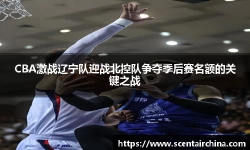 三亿体育网站