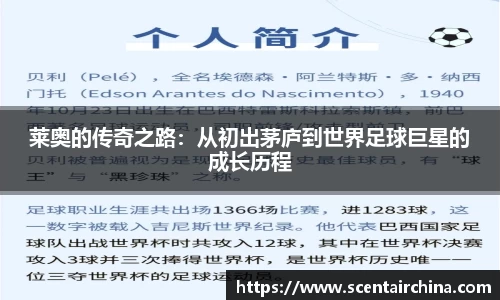 三亿体育全站